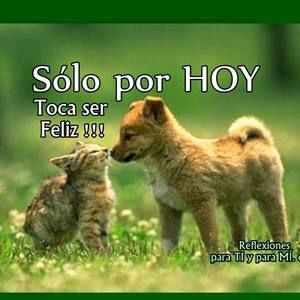 Meet your Posher, Moster